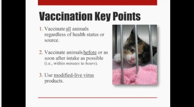 Redefining Vaccination on Intake